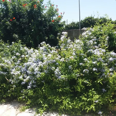 Gasthuis L'agrumeto Messapico